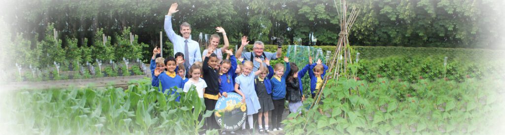 Welcome to our new look website